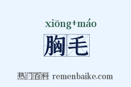 胸毛是什么意思的图片